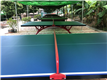 乒乓球-万荔生态园休闲项目